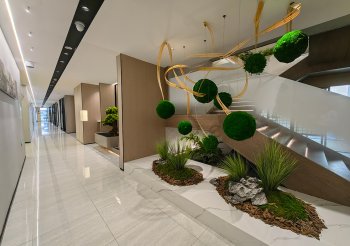 苏城中心